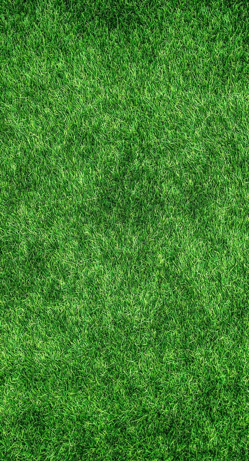 Eco-friendly accents
